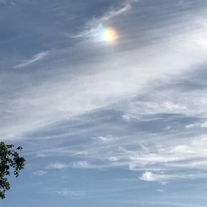 Meet your Posher, Regina